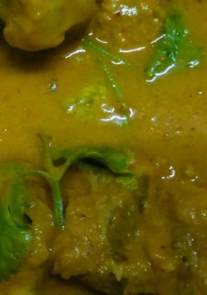 A picture of Chicken curry.