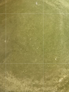Una foto de Crema de Espinacas Keto