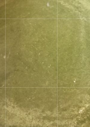 Una foto de Crema de Espinacas Keto