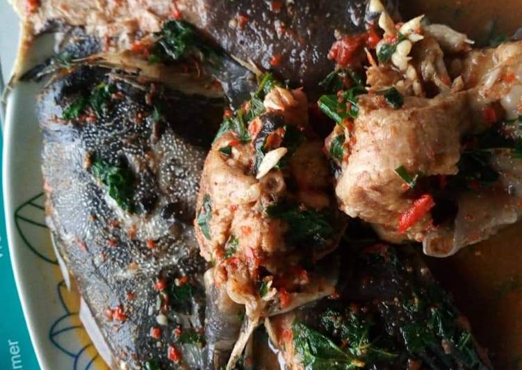 How to Prepare Appetizing Fresh fish peppersoup Cooking Basics for Newbies