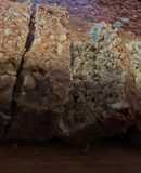 PAN de NUEZ, Lino y semillas sin gluten (muy fácil y nutritivo)