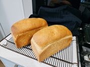 Gambar roti tawar gandum zaitun