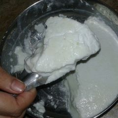 A picture of Homemade dahi / curd.