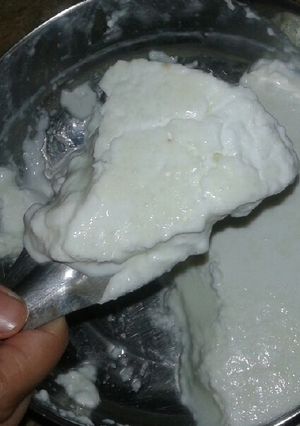 A picture of Homemade dahi / curd.