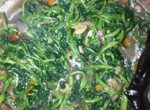 Foto resep Tumis kenci 🍀saos tiram🦪