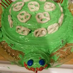 A picture of Turtle shape cake.