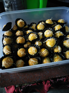 Foto resep Kue nastar