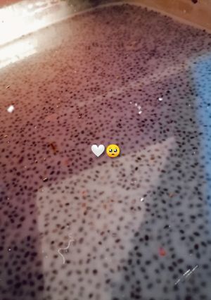 صورة لوصفة حلى الشيا 😍