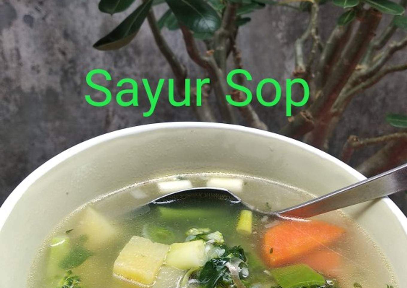 Soap Soap (W27)