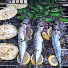 A picture of Braai mackerel and scallops with padron peppers, aubergine and sweet corn.