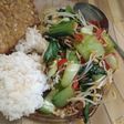 Tumis Pakcoy Kecambah