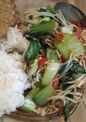 Foto resep Tumis Pakcoy Kecambah