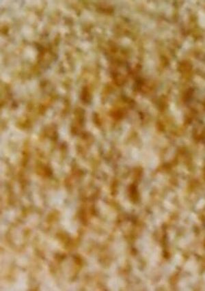 Foto resep Tepung panir/ tepung roti