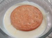 Gambar puding biskuit