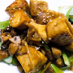 Tofu and mushrooms in ginger and oyster sauce A picture of Tofu and mushrooms in ginger and oyster sauce.