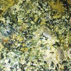 A picture of Aditan mi soup.