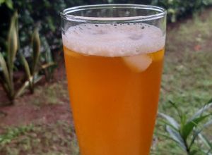 Foto resep Bir Jawa/Bir Mataram