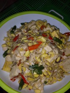 Foto resep Tumis kecambah tahu