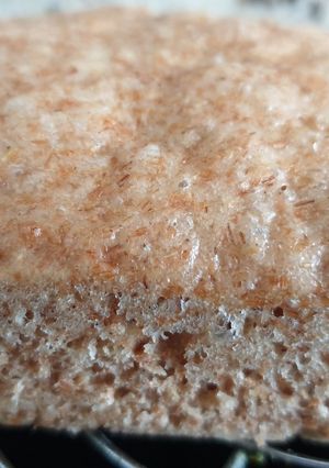 Foto principal de Pan al vapor de espelta (sin corteza y en Thermomix)