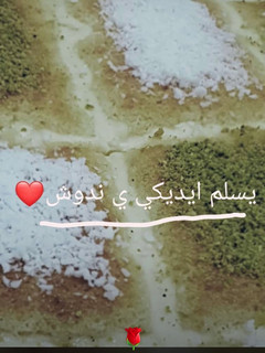 صورة لوصفة بسبوسة الكاروهات بدون حليب