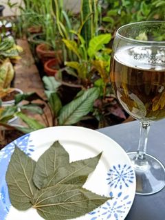 Foto resep Teh Daun Kersen