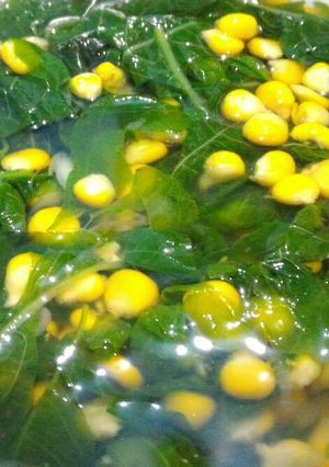 Foto resep Sayur Bayam