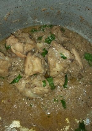 A picture of Chicken white qorma.
