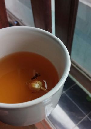 Foto resep Teh Rempah