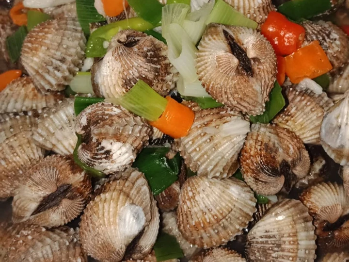 Cara Mudah Membikin Resep Kerang Dara Rebus yang Bisa Manjain Lidah Anti Ribet, Bisa Manjain Lidah