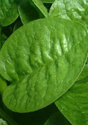 Una foto de Batido verde