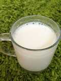 (Duju) Leche de soya coreana