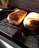 Pan lactal
