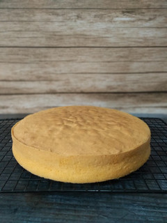 Foto resep Sponge Cake