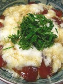 A picture of Marinated Fresh Tuna and Grated Nagaimo Rice Bowl.