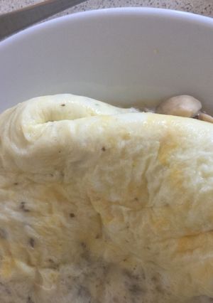 A picture of Boil in the Bag Omelette!.