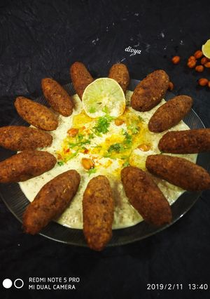 A picture of Falafel.