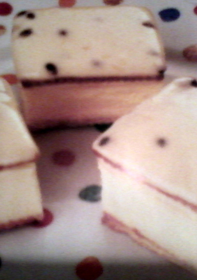 A picture of vanilla slice.
