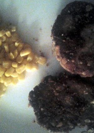A picture of Crunchy salmon patties.