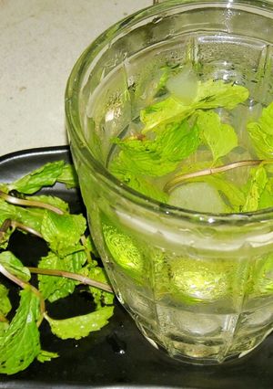 লেমন পুদিনা মশলা মোজিতো (lemon pudina masala mojito recipe in Bengali) রেসিপির প্রধান ছবি