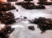 A picture of cocoa powder recipes no bake