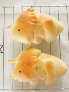 A picture of Dinosaur Bread Triceratops.