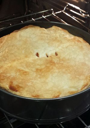 A picture of Butter Chicken Pie!.