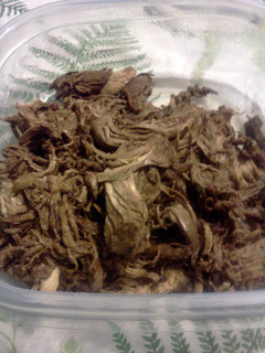 A picture of Shredded chicken.