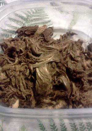 A picture of Shredded chicken.