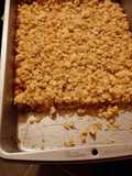 Copy Nutri Grain Bars