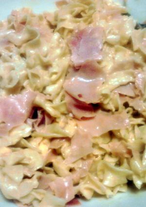 A picture of hot ham n cheese ala noodles.