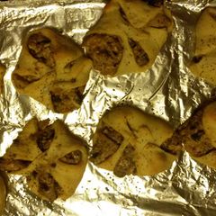 A picture of David's poppy seed chicovers.