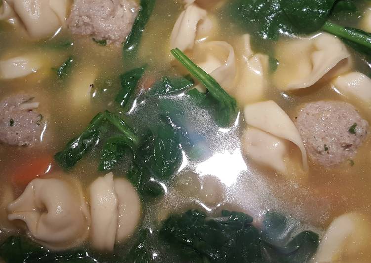 Simple Way to Cook Speedy Tortilini Vegetable Soup with Turkey Meatballs