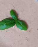 Patê de Atum sem maionese