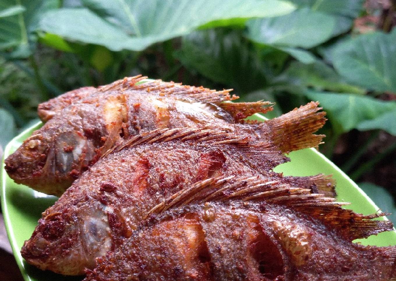 Ikan mujaer goreng